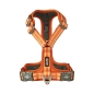 Preview: DOG Copenhagen V3 Comfort Walk Air Orange Sun